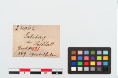 Etiketten zu Bronzegürtelhaken (NHMW-PRAE-024062)